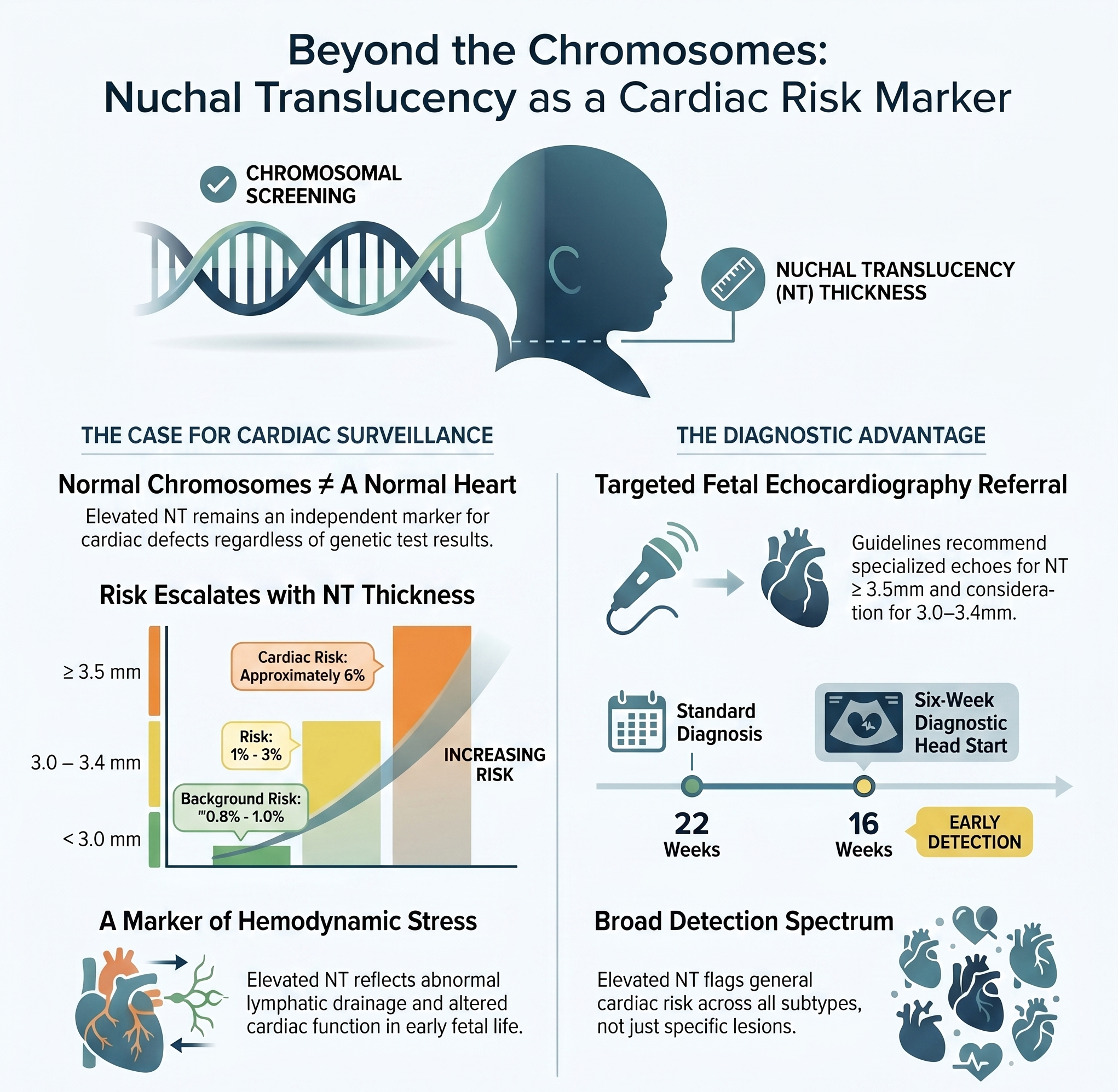 The Nuchal Translucency–Cardiac Connection: Why a normal karyotype does not close the case